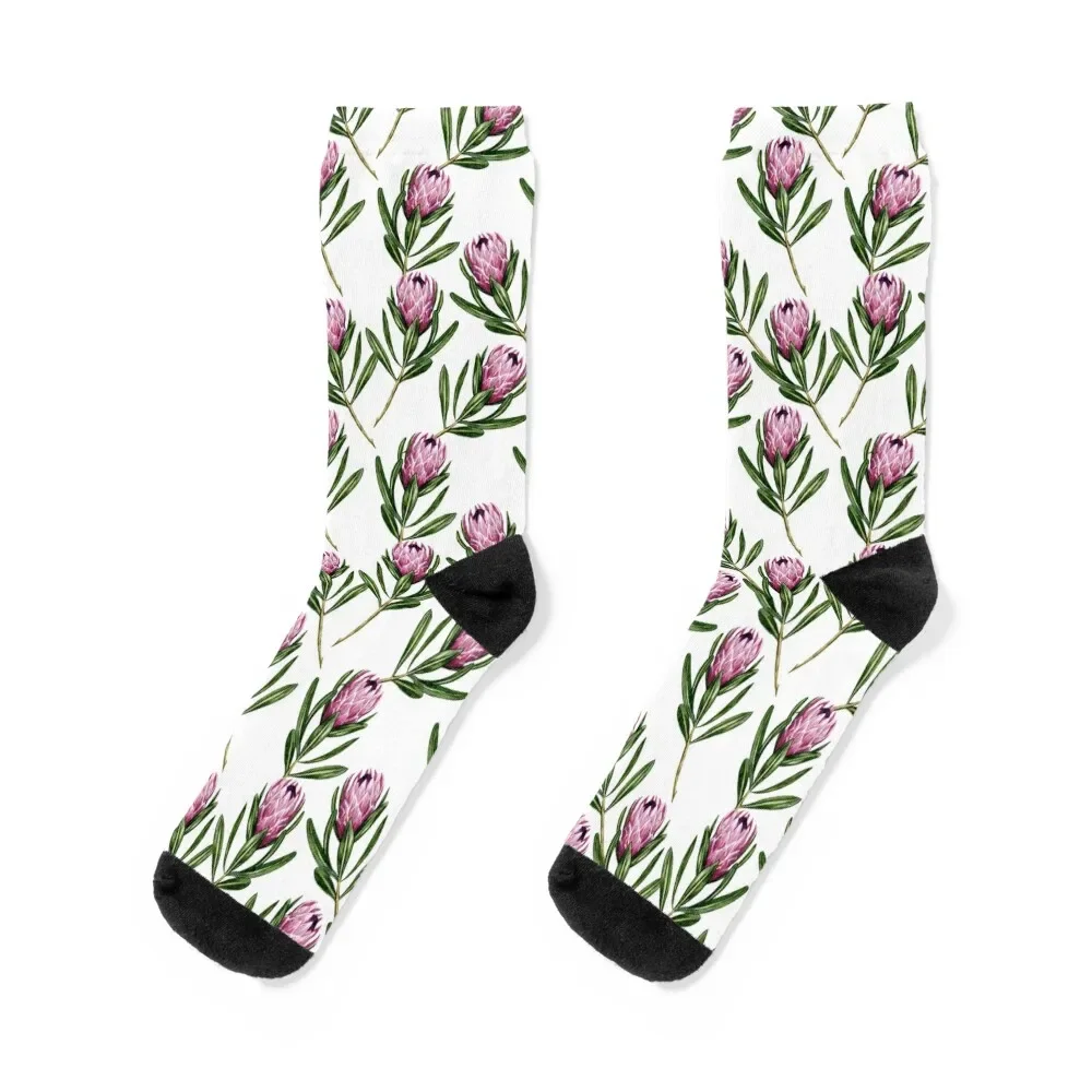 

Protea Socks loose funny gifts Male Socks Women's