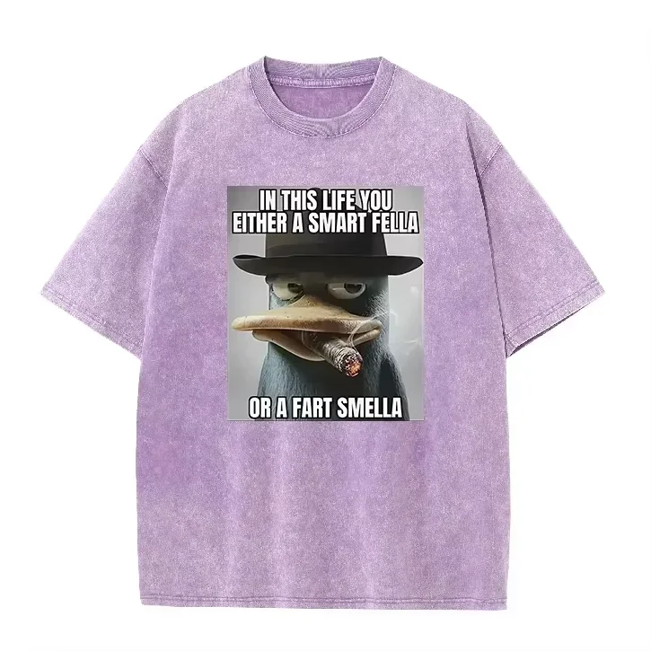 Retro Acid Wash Oversized T-shirt Funny Perry Platypus Meme Cartoon Print Casual Men Women Streetwear Tops