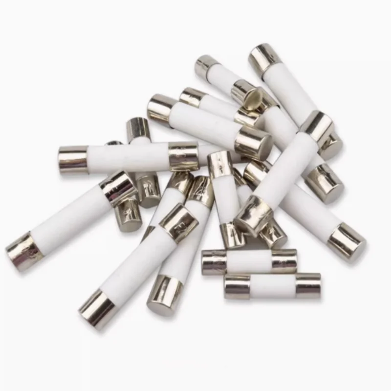 10 Pcs Slow Blow Ceramic Fuses T0.5A/1A/2A/5A/6A/6.3A/8A/10A/20A  250V 5mm x 20mm