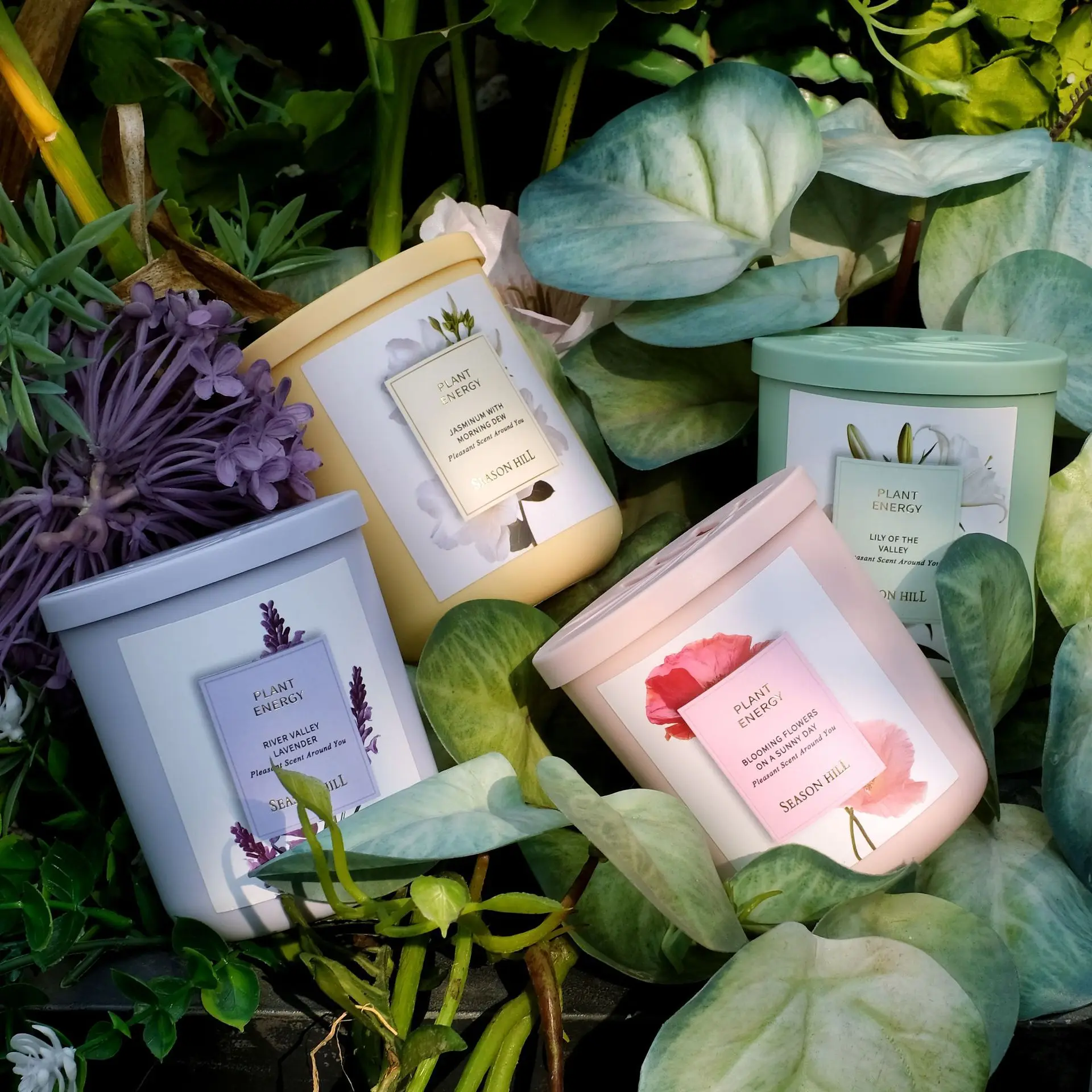

Plant Flameless Aromatherapy Ornaments, Indoor Flameless Fragrance, Household Deodorant, Air Freshener Long-lasting.