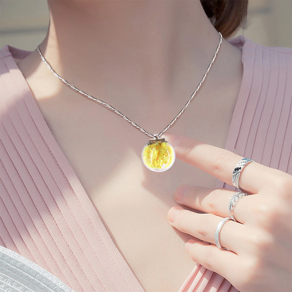 

10Sets Glass Ball Pendant Charms Mini Clear Globe Empty DIY Supplies for Jewelry Making Christmas Tree Decoration Jewelry Charm