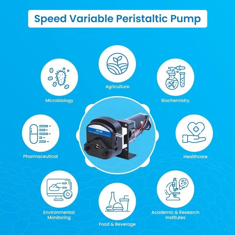 Fixed‑speed DC deceleration peristaltic pumps for conveying in micro and small‑scale food industries