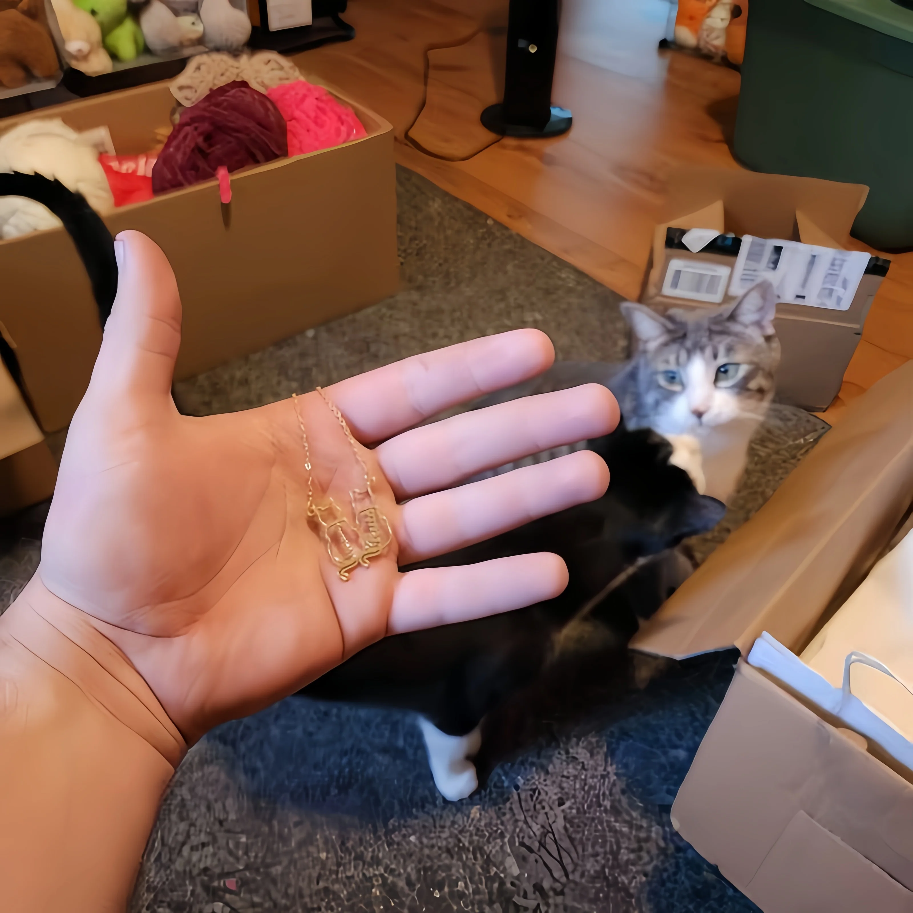Gepersonaliseerde kattennaamke - Xl Women'S Fashion recensie en prijs