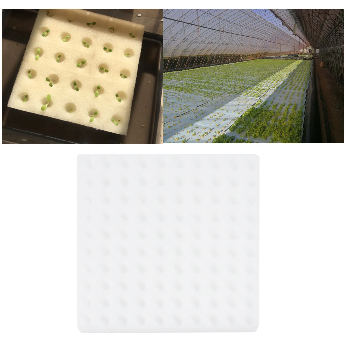

5Pcs Seedling Sponge for Hydroponic Planting Soil-Free Cultivation Square Blocks High Water Absorption Growth Medium Suitable