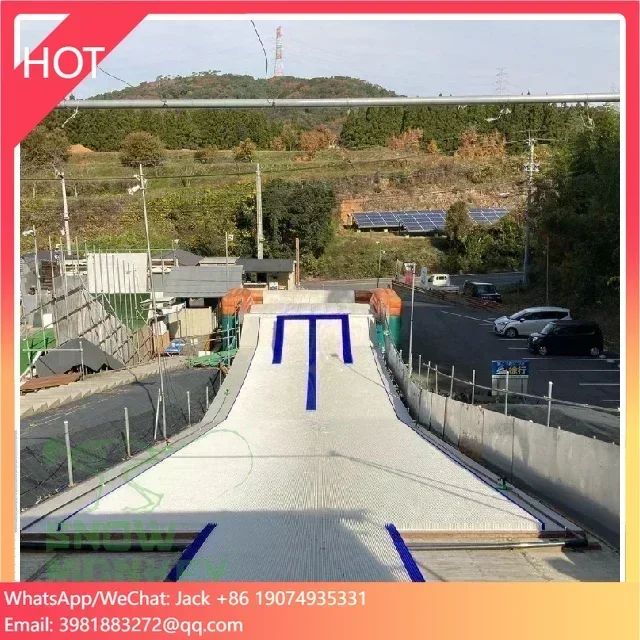 

China High Quality Artificial Ski Surface Indoor Snowboarding Outdoor Snow Dry Ski Slope