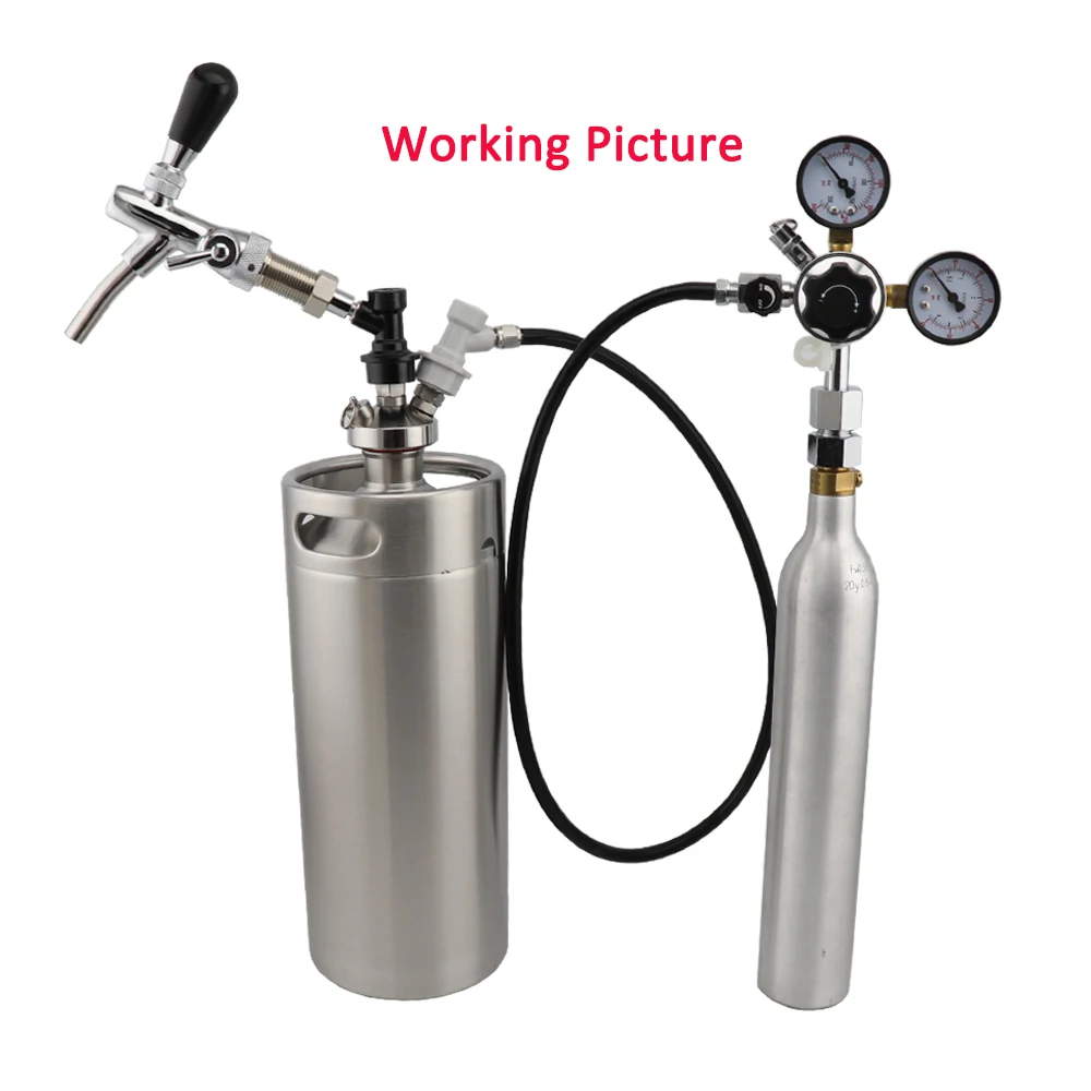 3000PSI Pressure Dual Guage Co2 Regulator with Safety Pressure Relief Valve Homebrew Keg Kegerator Beer Regulator W21.8 view 6