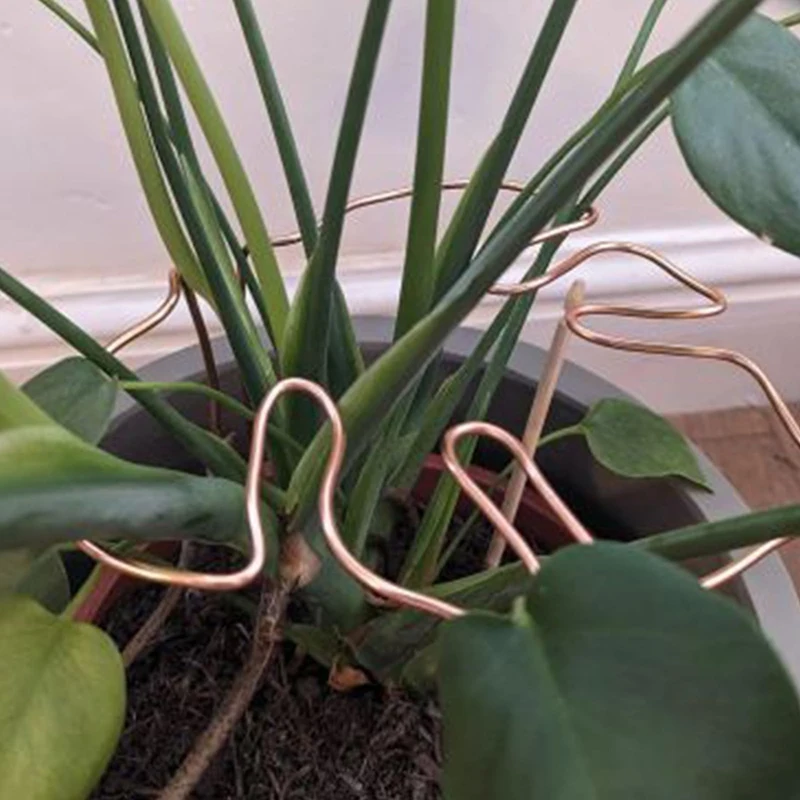 ABRE-Monstera Shaped Plant Support Reusable Sturdy Alloy Plant Stem Support Holder Plant Retaining Support Herbs Vegetables