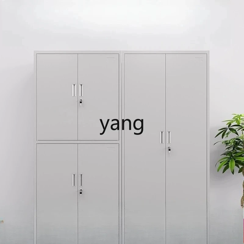 LMMM Steel Sheet File Cabinet Storage Office Finance Office Data Cabinet