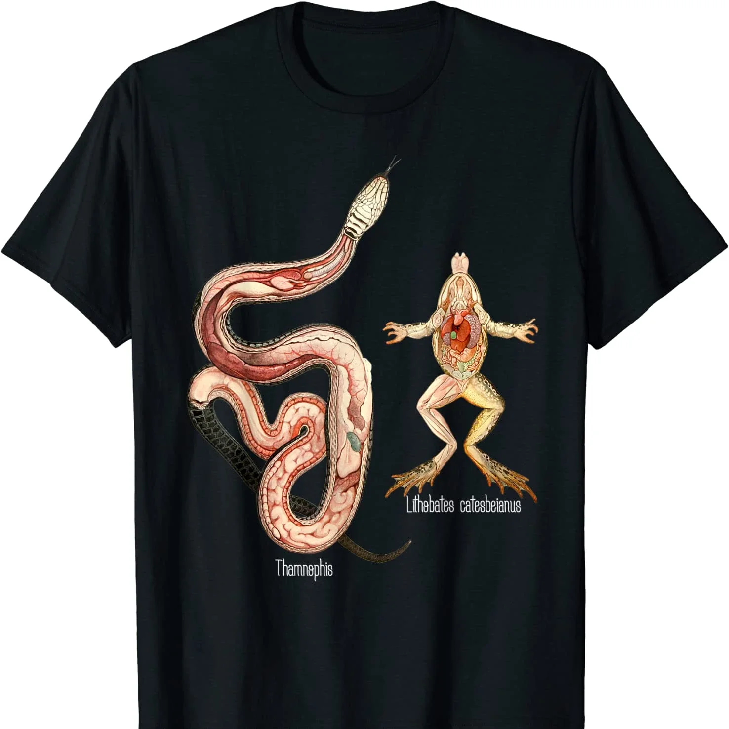 

Футболка с анатомией амфибиологии, змеей и лягушкой, новая повседневная футболка с коротким рукавом из 100% хлопка с круглым вырезом, летняя мужская футболка, размер S-3XL