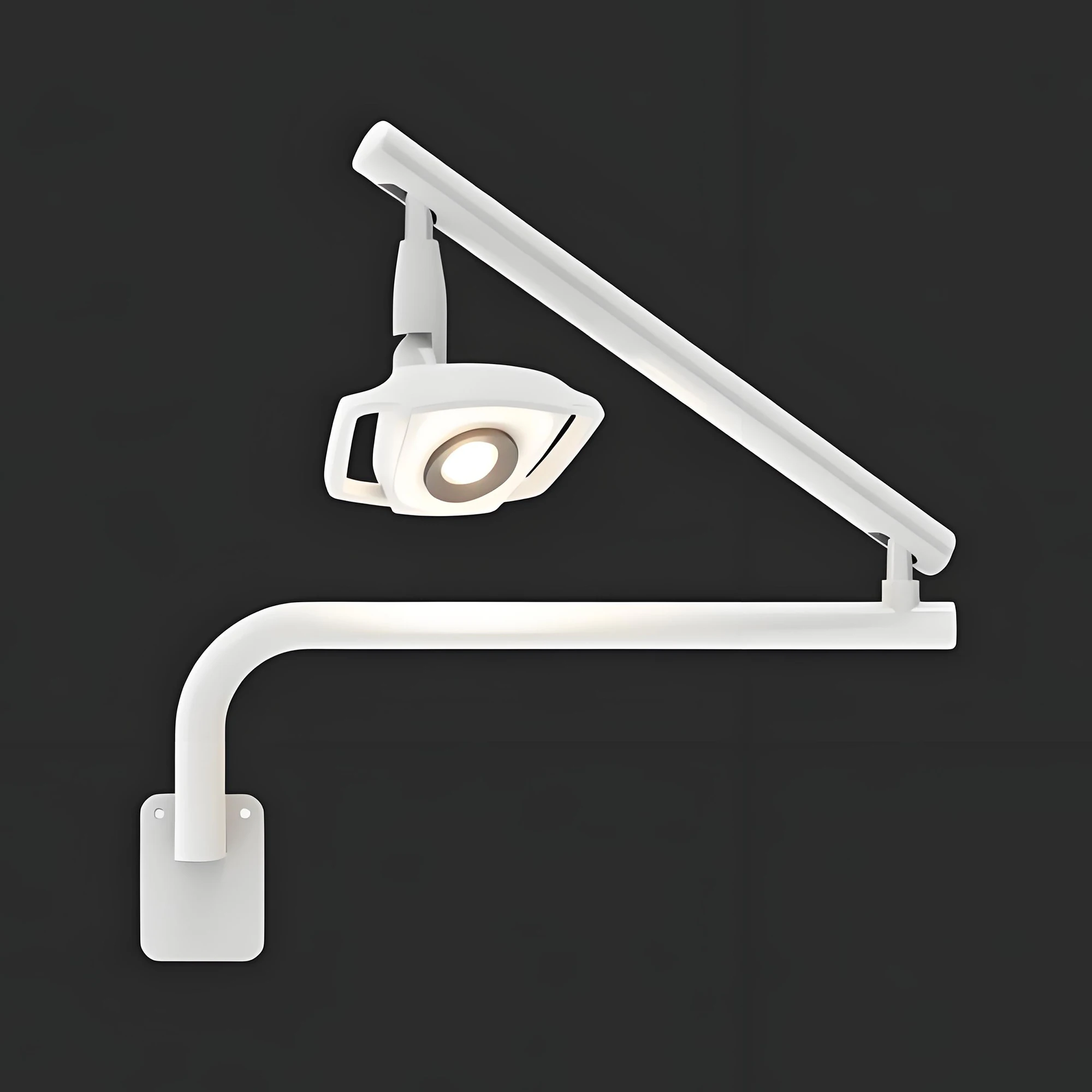 Medical Dental Oral Lamp Veterinary Examination LED light Wall Install Lamp Light 22mm Dental chair lamp