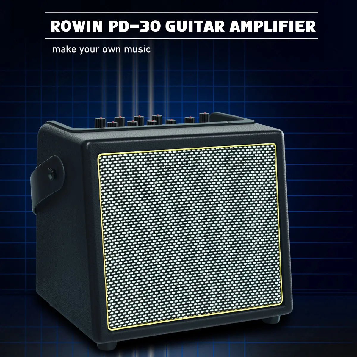 Rowin 30W Bass Guitar Amplifier Multi-Function OTG BT Battery Buildin Combo Amp Reverb Chorus Multi effect Microphone Inputs Aux