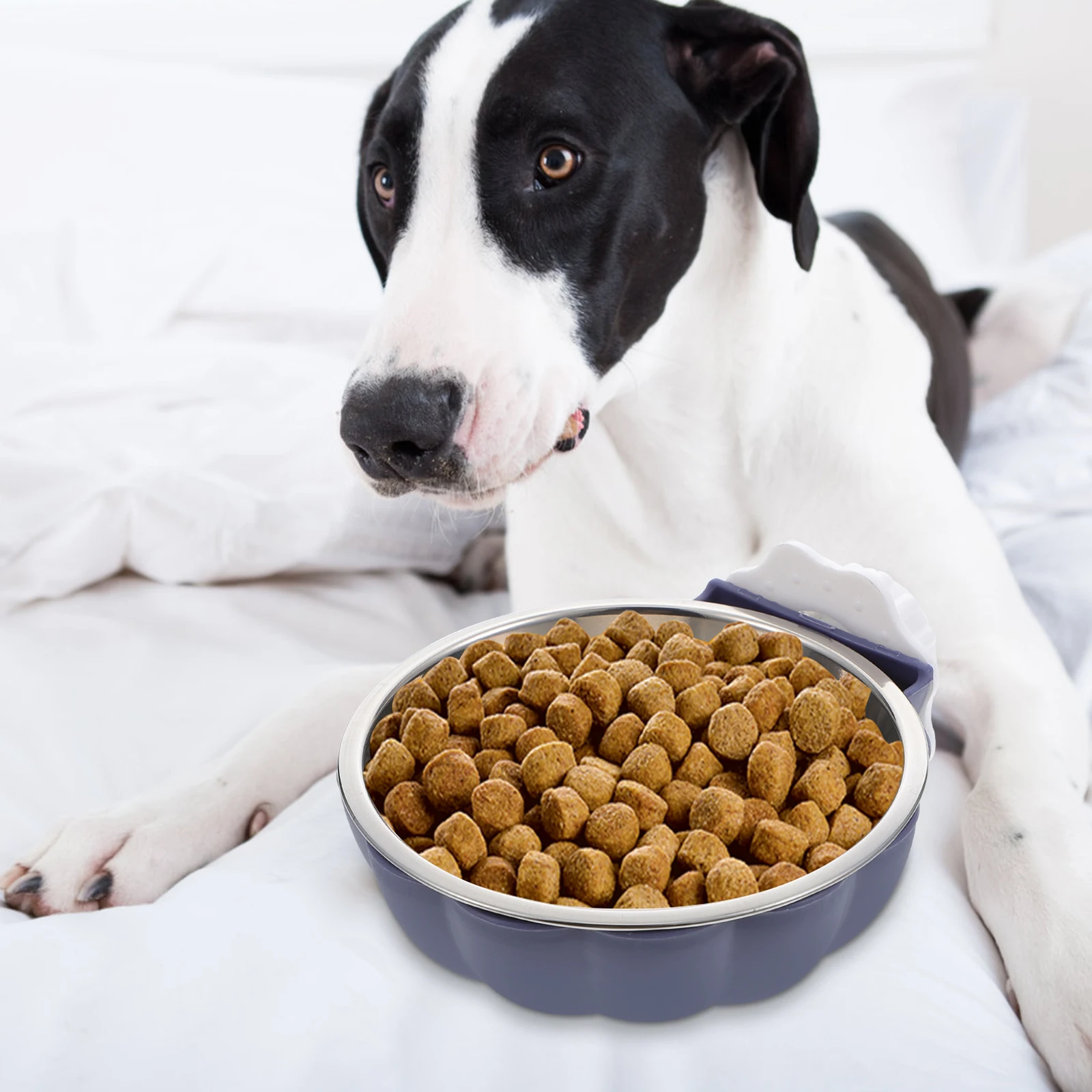 

2Pcs Hanging Dog Bowls Household Pet Bowl Multi-Function Rust-Proof Puppy Bowl Dog Supply Feeding Accessory Cat Accessory