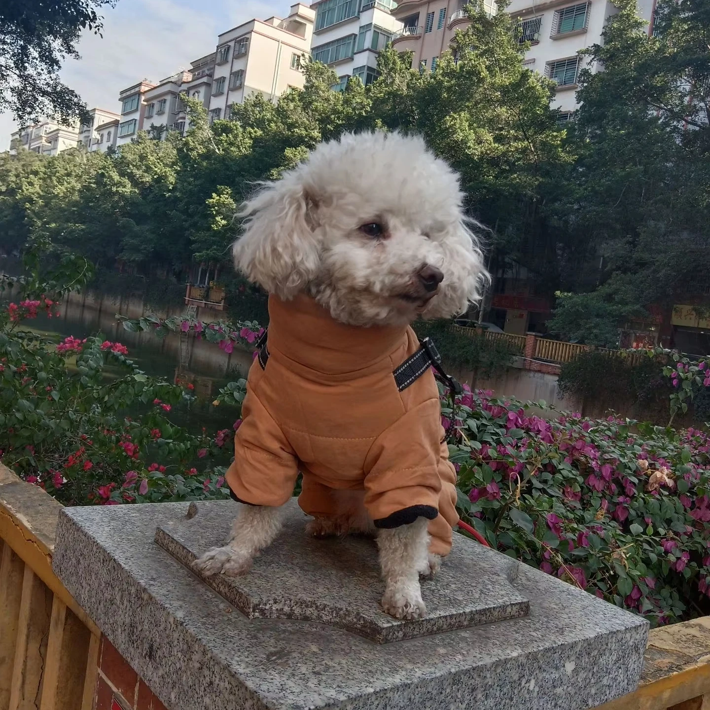 

OEM ODM Luxury Pet Jacket Custom Logo Winter Coat Apparel for Small and Big Dogs and Cats Cotton Summer XL Size Wholesale