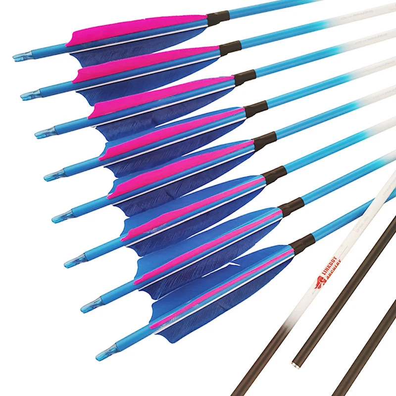 Linkboy-Archery Carbon Arrows Spine300, 340, 400, 500, 600, 700, 800, 5Inch Turkey Feather, 75gr Tips, Bow and Arrows, Hunting