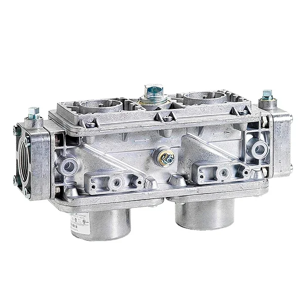 

hot sales VGD20.5011 Double Gas Valve Safety Shut-Off Valve Stainless Steel For Pressure Switches Or Valves Proving Devices