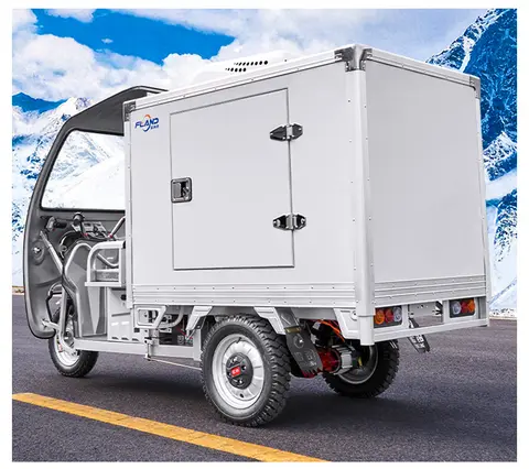 All in One Cooler Tricycle Electric Bike Ice Cream Delivery Refrigerated Cargo Tricycle for Frozen Food Transport