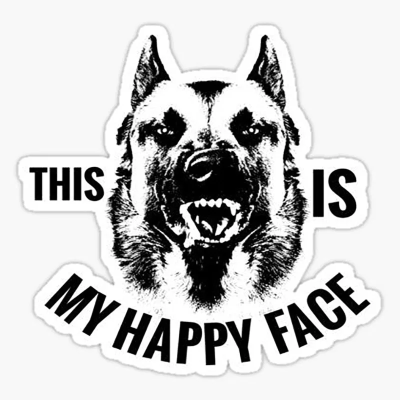 N347# Car Sticker THIS IS MY HAPPY FACE Belgian Malinois Accessories Pegatinas Para Coche DIY Car Styling