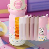 500ml Insulated Cup Large Capacity Double Drink Vacuum-insulated Bottle Leak-Proof Heat Insulation Thermos Water Bottle Office