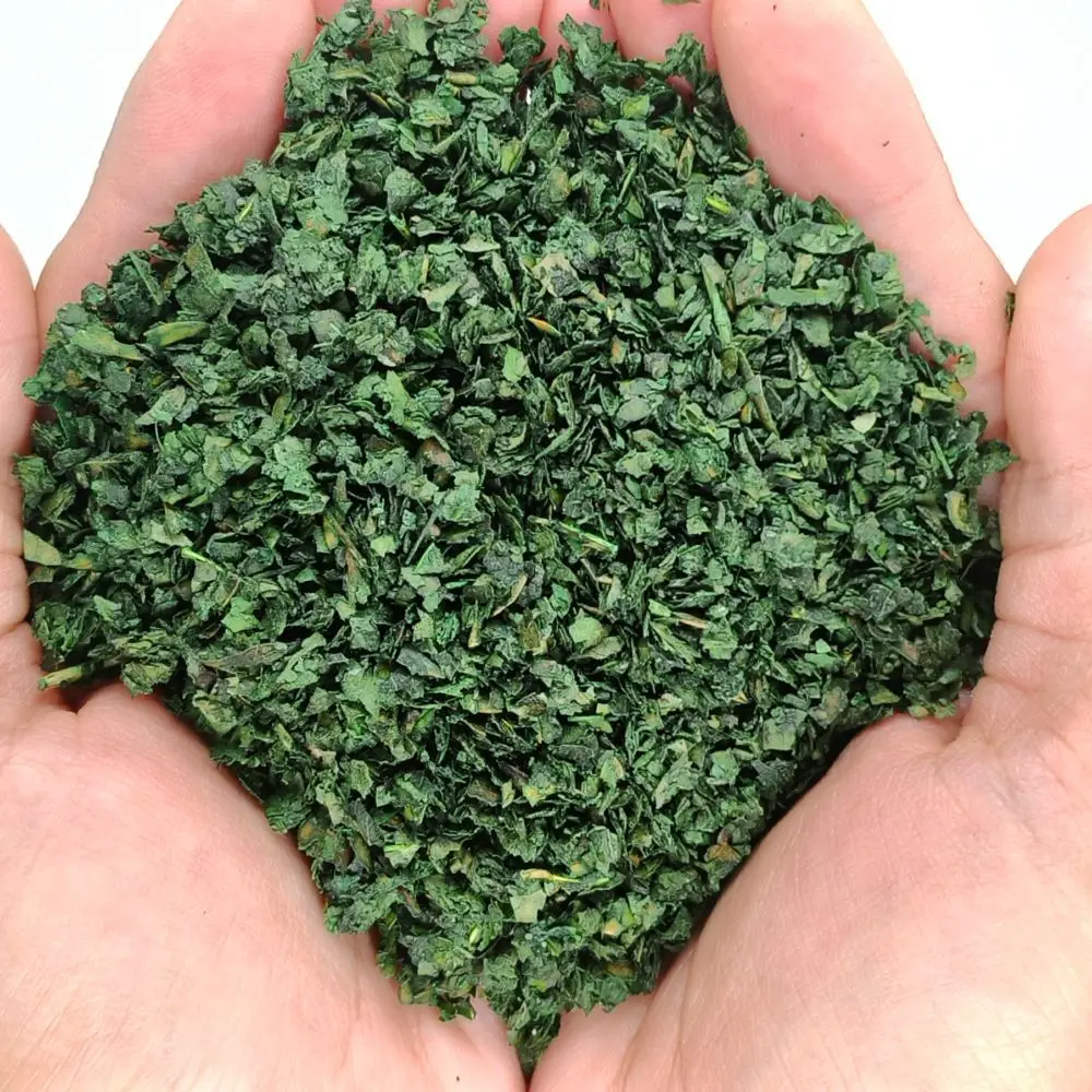 Modèle de feuilles tombantes miniatures, bricolage, feuilles d'arbre réalistes pour miniature de base/marteau de guerre/marque/paysage de jardin 20 g/sac