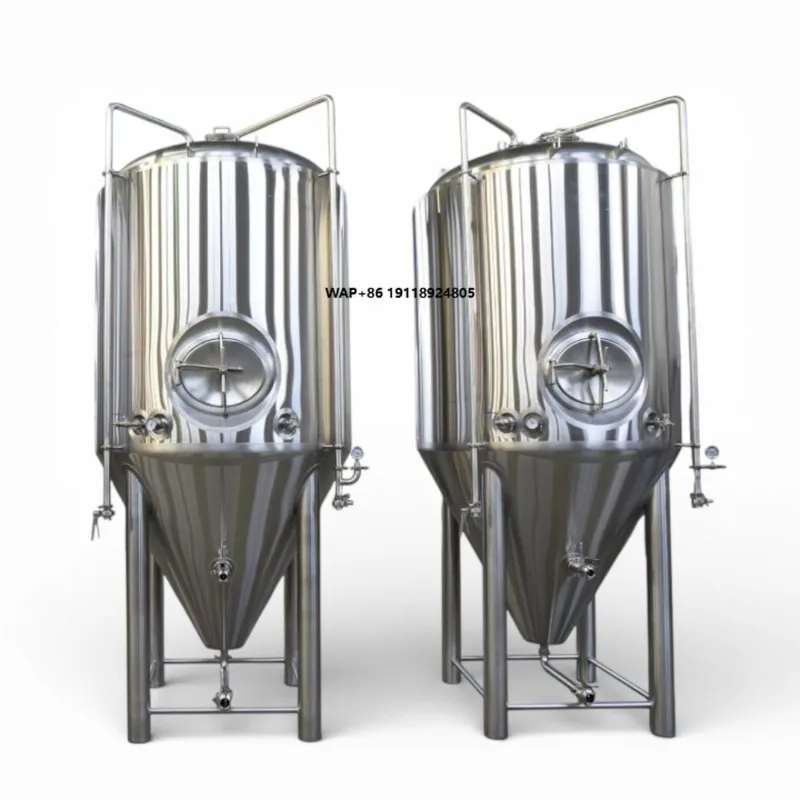 200L 300L Mini Home Brewing Beer Fermenting Equipment for Sale