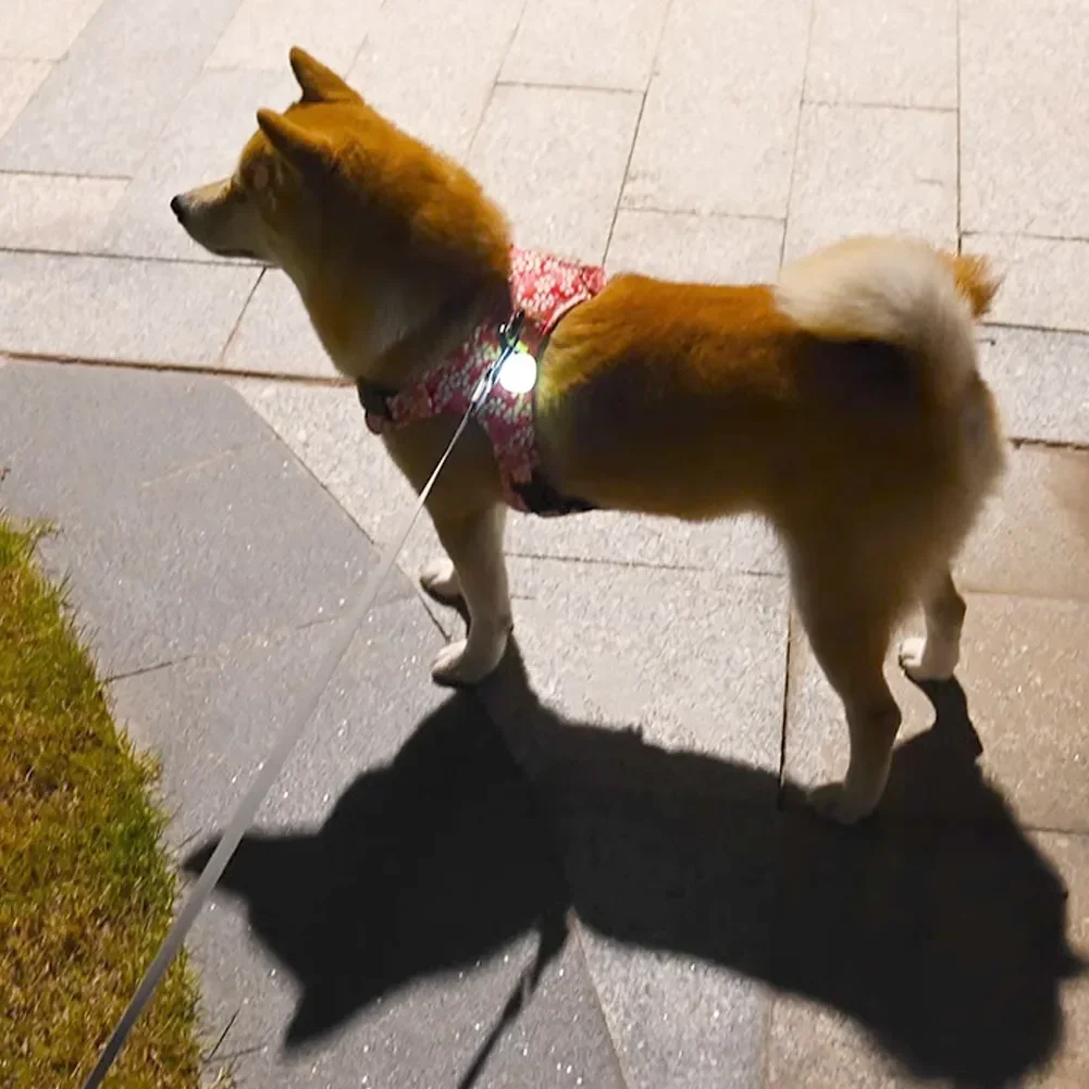 Wasserdichter LED-Haustieranhänger für Spaziergänge bei Nacht, Silikon-Halsbandanhänger, Bunt mit LED-Licht, Hunde-Anhänger Nachtlicht – Detail 8
