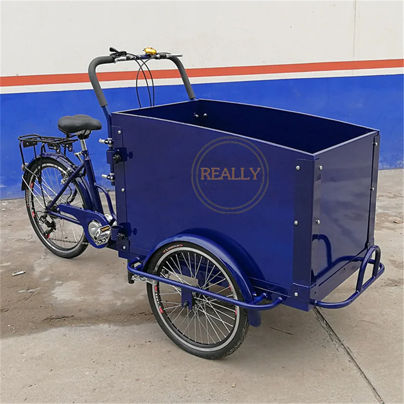 Hot Selling Home Use Commercial Sale Cargo Carrier Tricycle Bike Electric Cargo Bicycle Food Bike in China