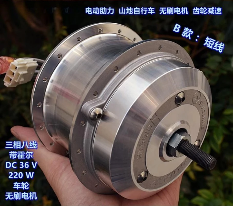 

Electric Power Assist Mountain Bike Brushless Wheel Motor One-Way Clutch Gear Reduction