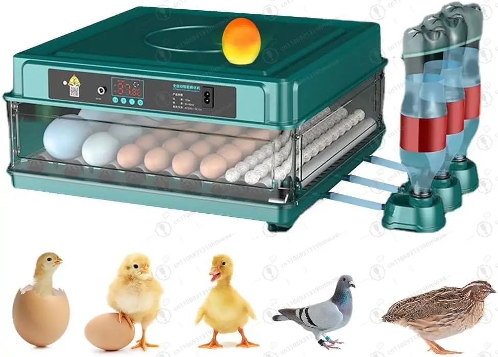 

Automatic Egg Incubator 12-38 Eggs Digital Hatcher with Auto Turning Temperature Humidity Control LED Light for Poultry
