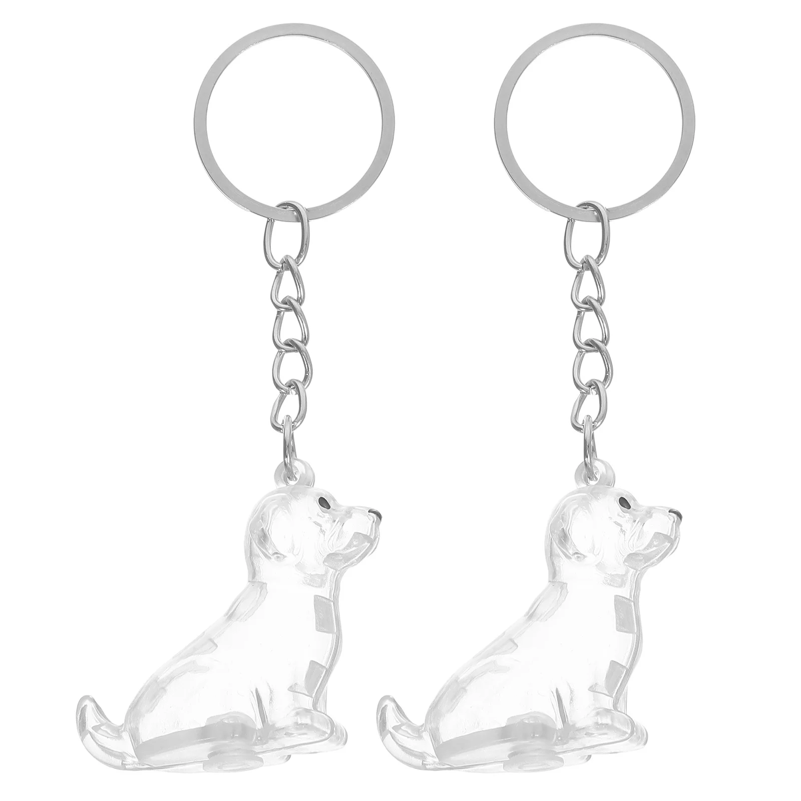 2Pcs Transparent Dog Hair Collector Keychain Pet Hair Keepsake Box Portable Storage Capsule Memorial Gift Organizer Pendant
