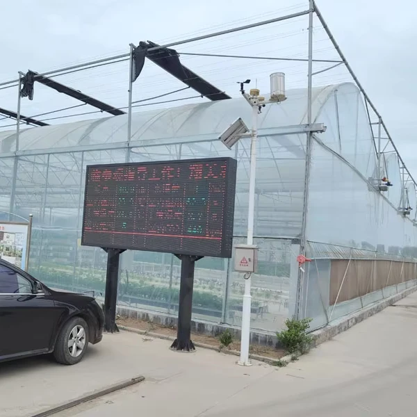 

Customized greenhouseCustom Agricultural Greenhouse Plastic Film for Vegetables/Flowers, Heat Preservation