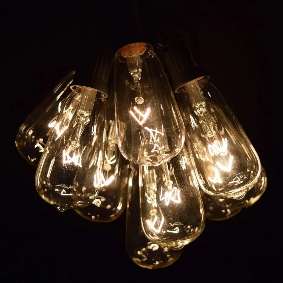 Evolution, Inc. Vintage Edison Outdoor String Lights (ST40 Clear - Black Wire, 100 ft)