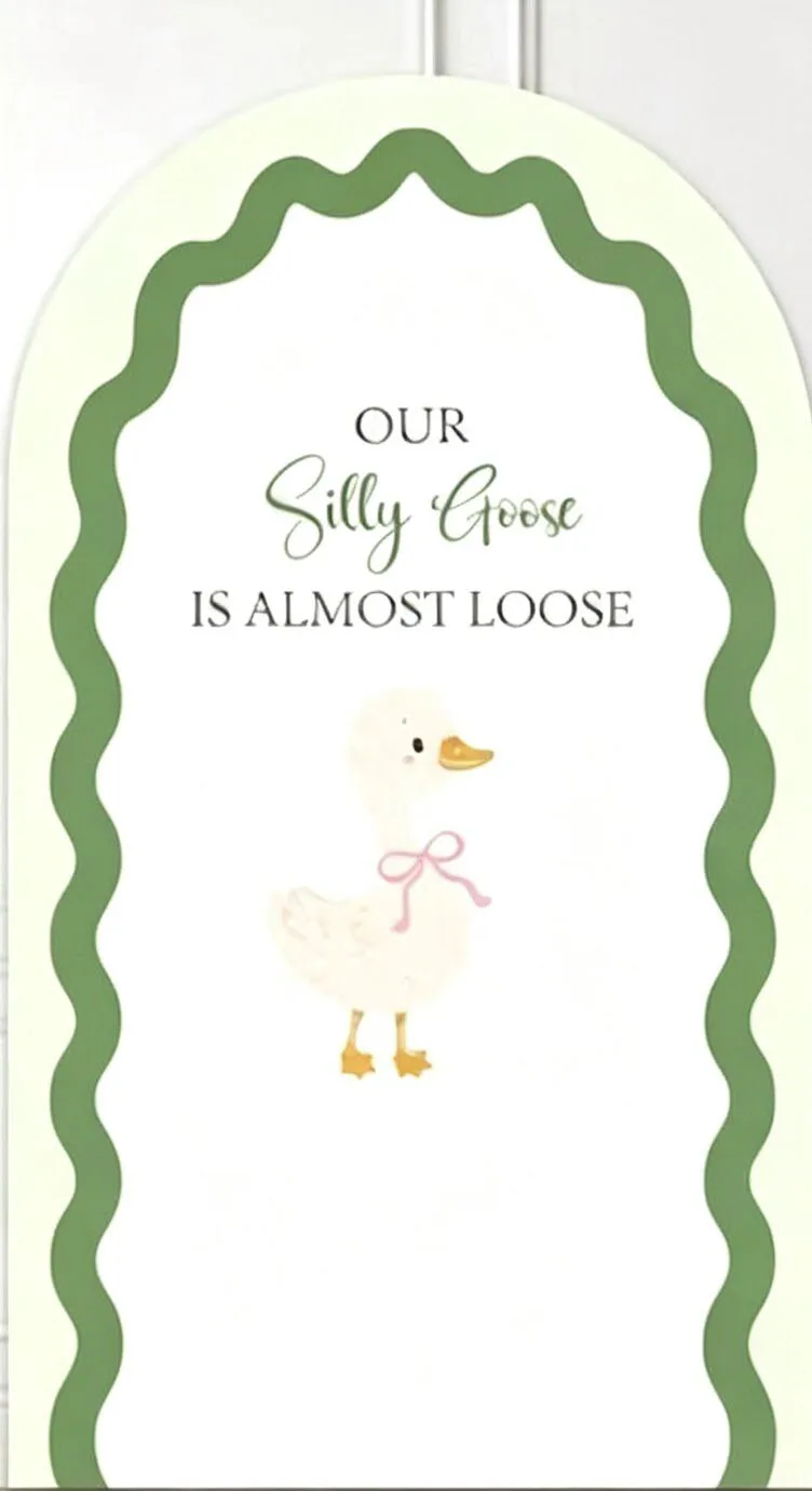 Custom 2-Side Silly Goose Almose Loose Baby Shower Arch Backdrop Cover Green Checked Birthday Party Decor Backdrop Photo