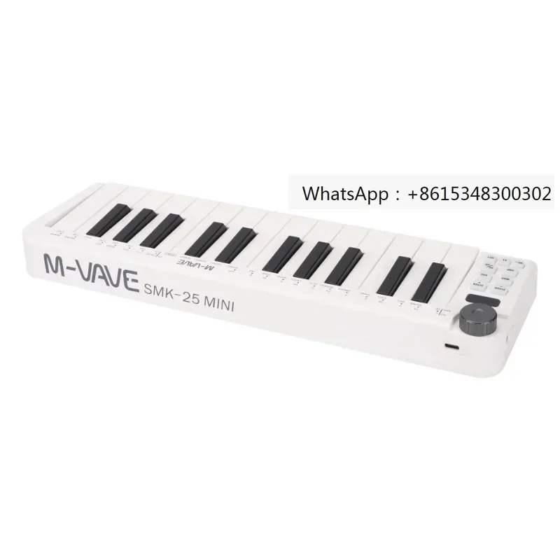 Professional Digital Electronic Piano Usb 25 Key Musical Instrument Midi Keyboard Controller