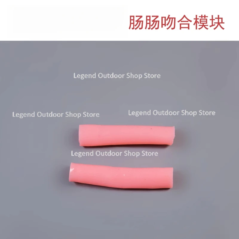 

Laparoscopic Enterostomy, Surgical Suture, Laparoscopic Surgery Simulation Training Equipment