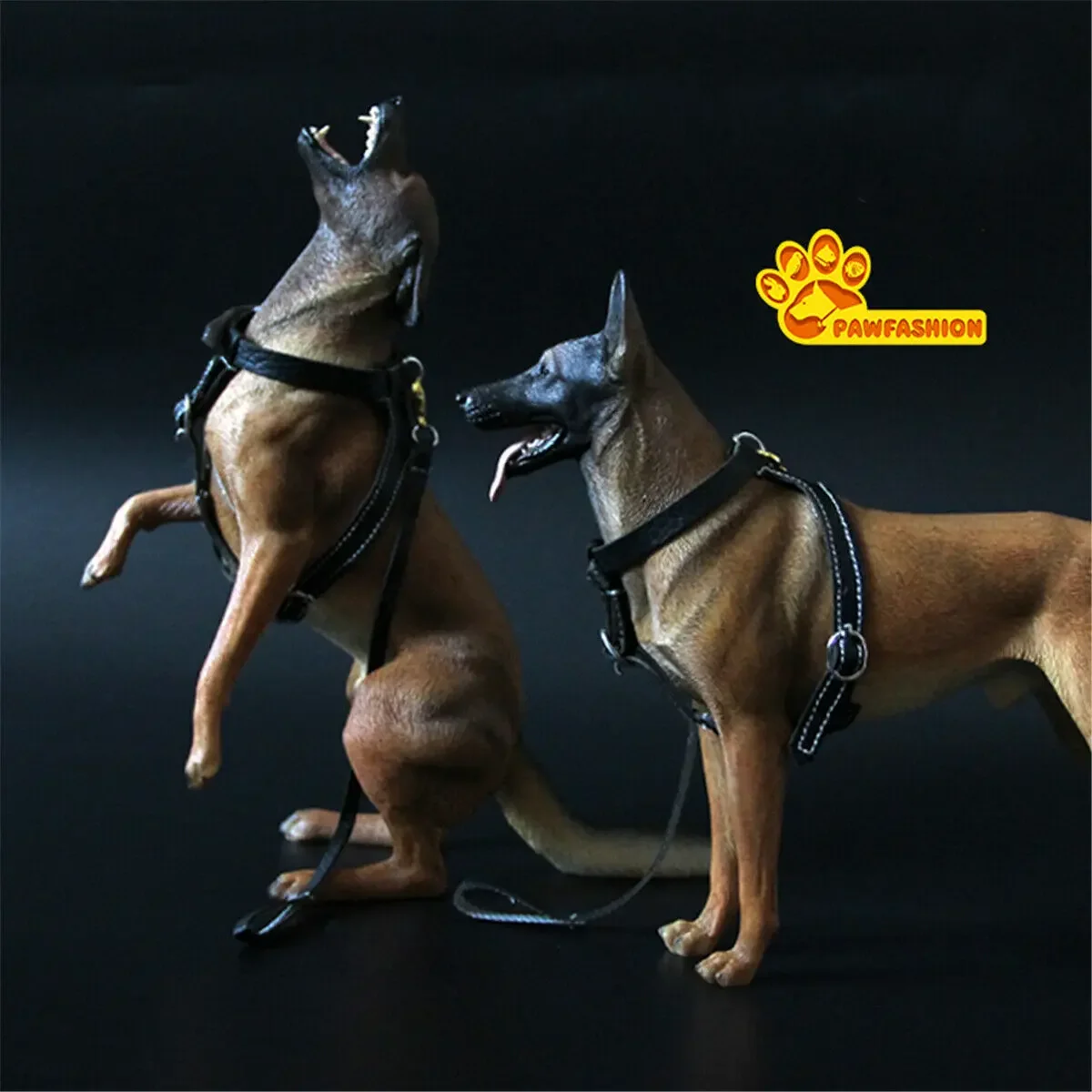 PAWFASHION-Figurine de chien malinois belge, modèle animal, jouet de collection, cadeau de simulation, 1/6