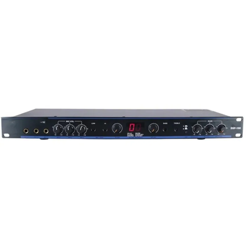 Professional Kraoke 99 Kind Digital Effects KTV Digital Audio Echo Effect Processor Audio Processor With 99 DSP Function