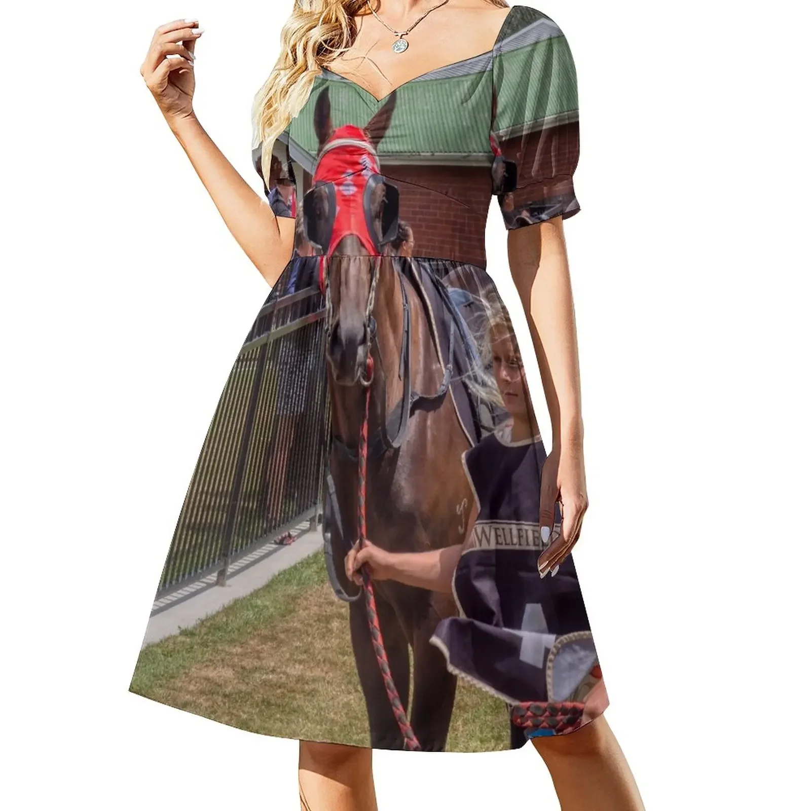 

Race Horse Short-Sleeved Dress prom dresses Dress women dress party evening elegant luxury celebrity Long dresses