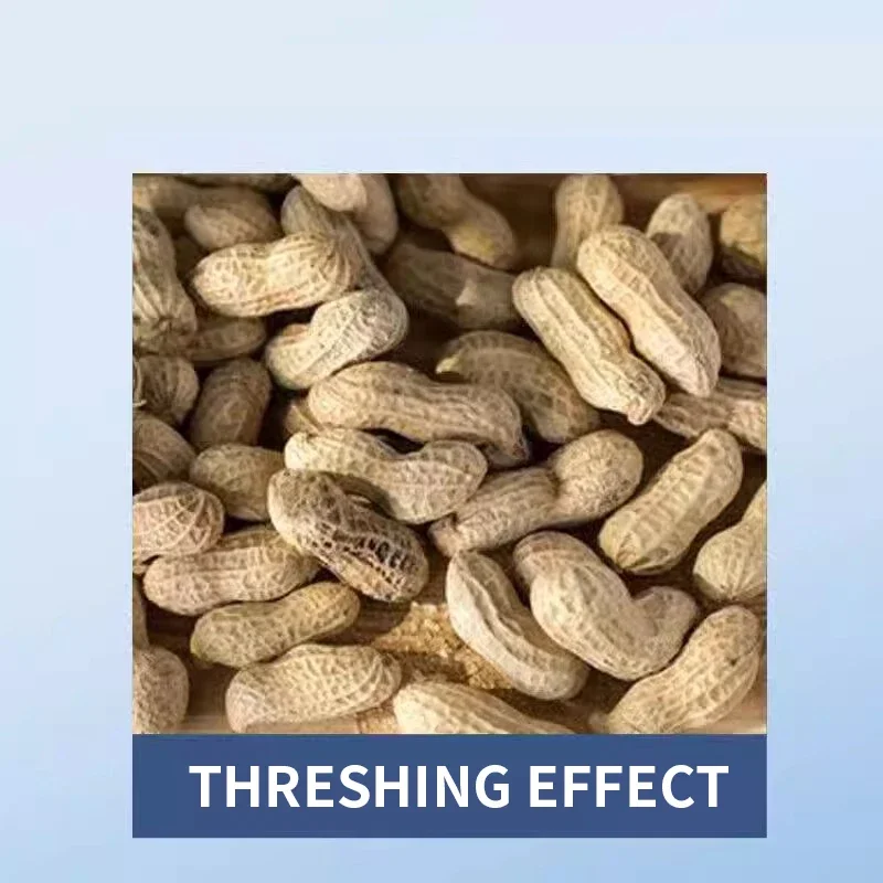 Machine de cueillette d'arachides électrique automatique, batteuse d'arachis, PUNICEF, moteur Jane GOLD, Fskins