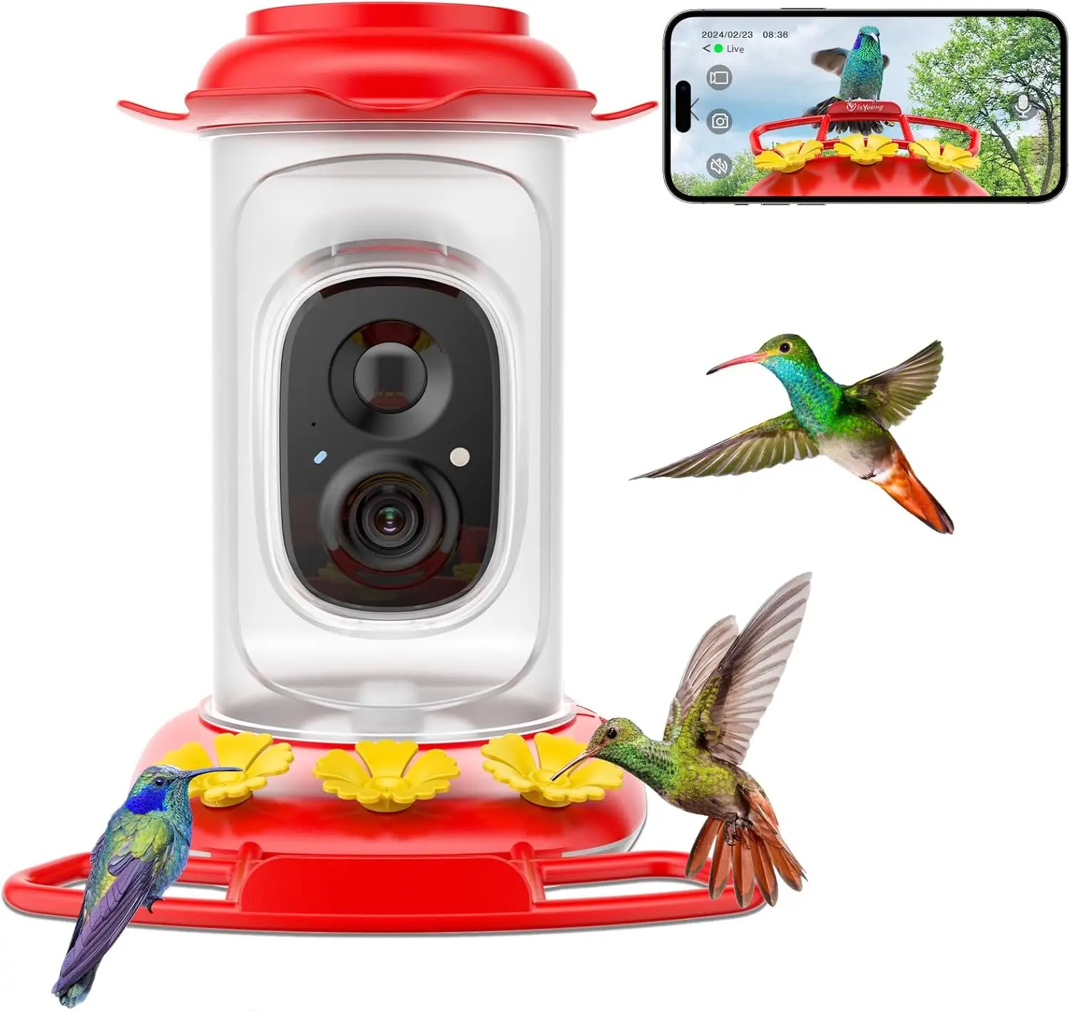 Smart Hummingbird Feeder with Camera: AI Bird ID, Live Alerts, Ant Moat & Bee Guards for Outdoor Bird Watching