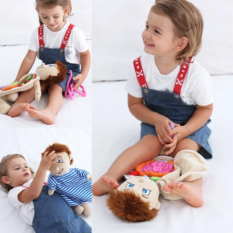 Soft Plush 3D Puzzle Human Body Model Anatomy Doll with Removable Organ Learning Educational Toy for Home Preschool Teaching Aid