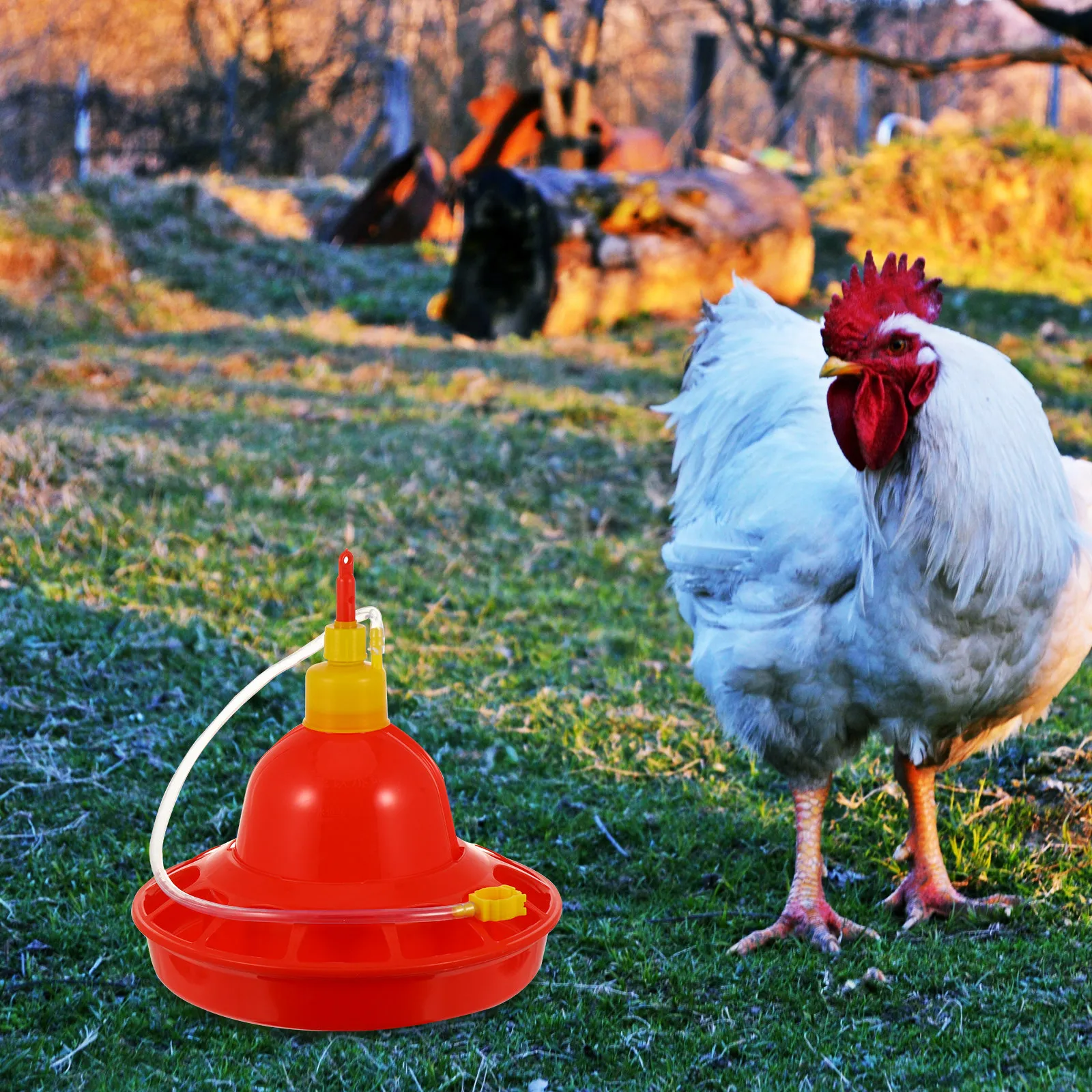 

Automatic Poultry Water Feeder Plastic Chicken Duck Goose Water Holder Constant Flow Design Safe Clean Convenient Outdoor Indoor