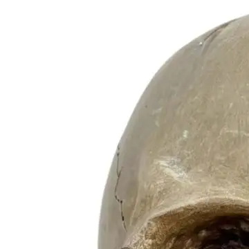Resin Gothic Skull For Cutlery Rack for Forks Spoons Knives Kitchen Utensil Holder with Bold Skull Shape and Stable Base