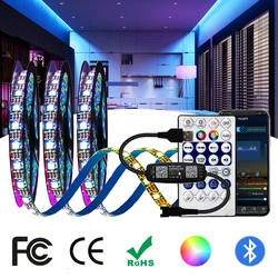 1m-20m WS2812B WS2812 LED şerit ışık ayrı ayrı adreslenebilir 5050 RGBIC USB/DC Bluetooth müzik 28 tuşları uzaktan kumanda DC5V