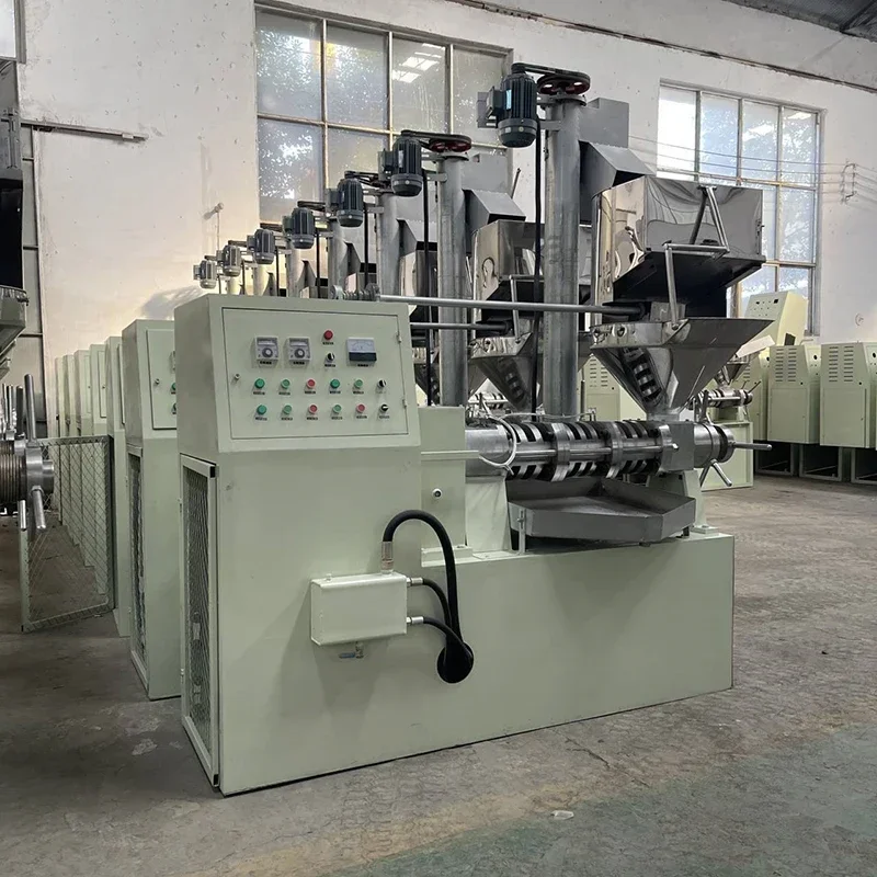 آلة ضغط زيت بذور القطن وصامولة الفلتر في جنوب أفريقيا