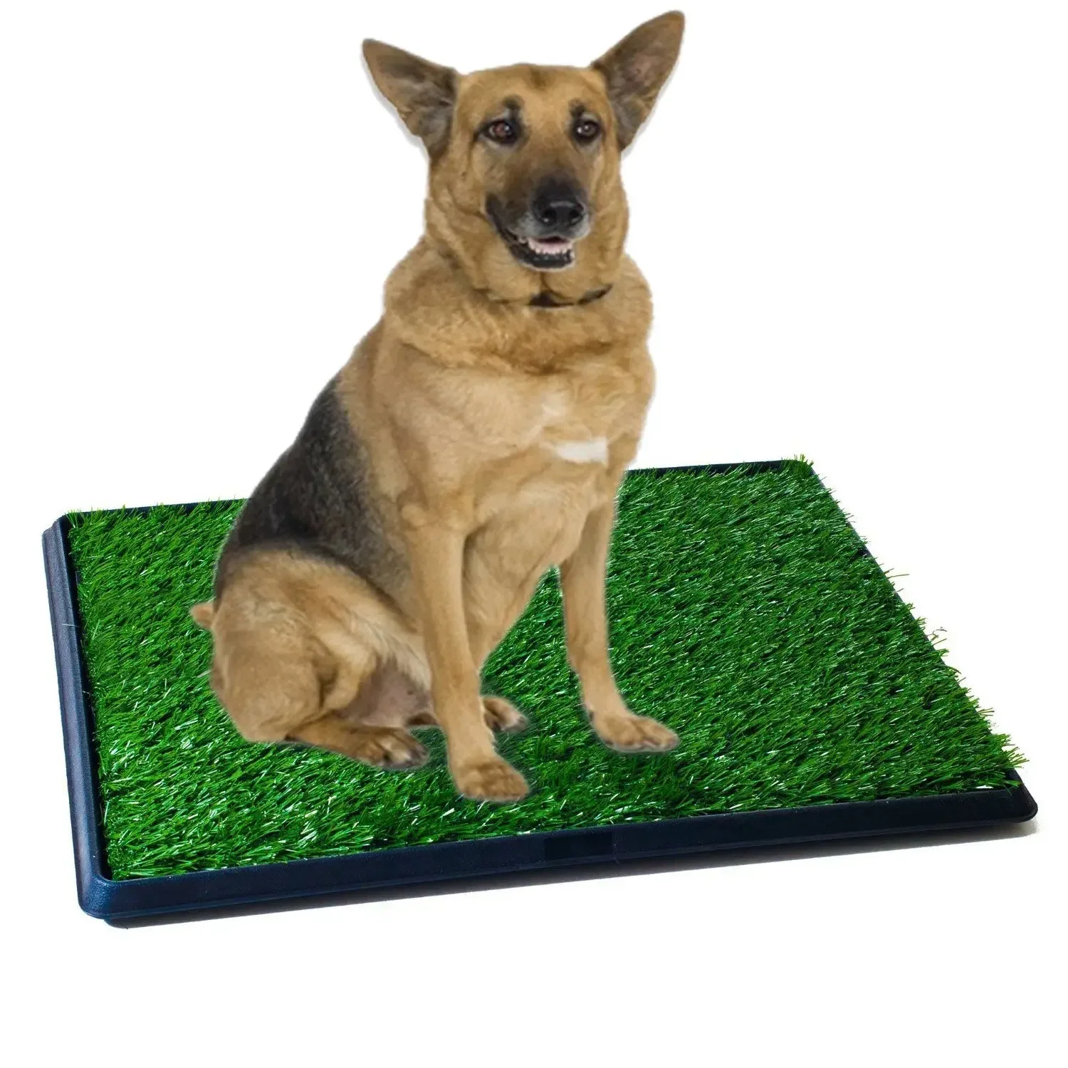 Pet Toilet Pad Grass Mat Indoor Tray Potty Litter Urinary Dog Supply Home Pet Accessories Pet Mat Training Tray For Home