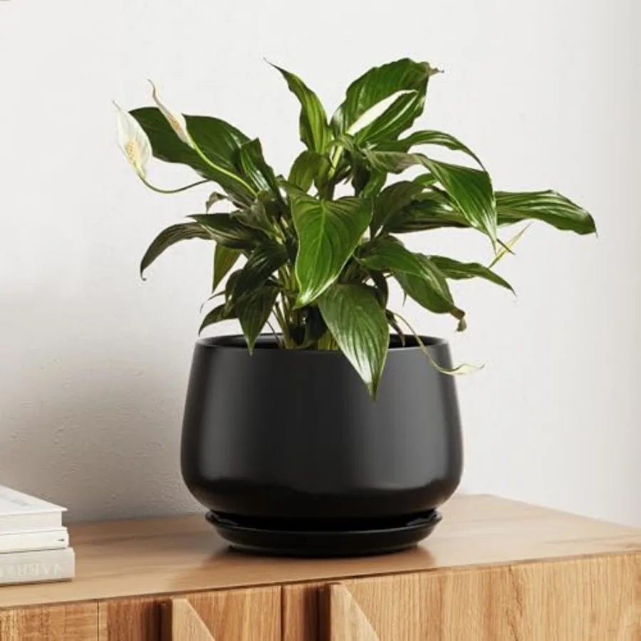 

Ceramic Planter Plant Pot with Drainage Hole and Saucer Durable Indoor Planter for Modern Home Decor