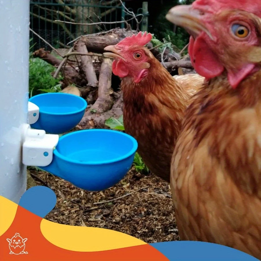 5/10Pcs Poultry Kit Automatic Chicken Water Feeder Automatic Drinking Bowl Feeding Watering Chicken Water Cup for Poultry
