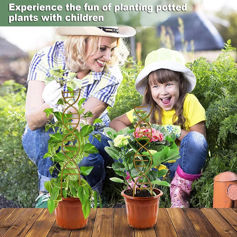 نبات تسلق دعم الحدائق أواني الزهور استخدام الكرمة حامل معدني عبر الإطار حامل اكسسوارات بونساي أداة لشتلات تعريشة