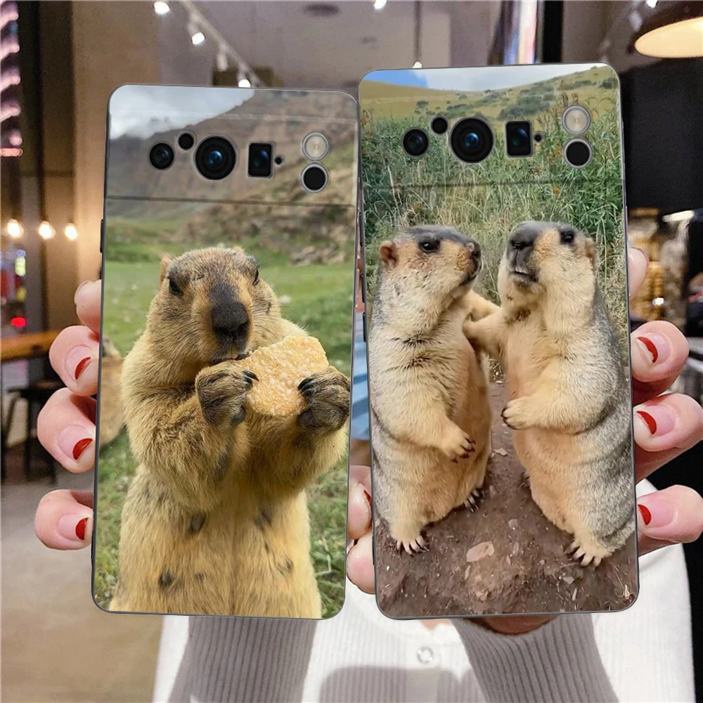 marmot Phone Case For Google Pixel 9 8 7 6 Pro XL 8A 6A 7A 5G Soft Shockproof TPU Black Cover Fundas