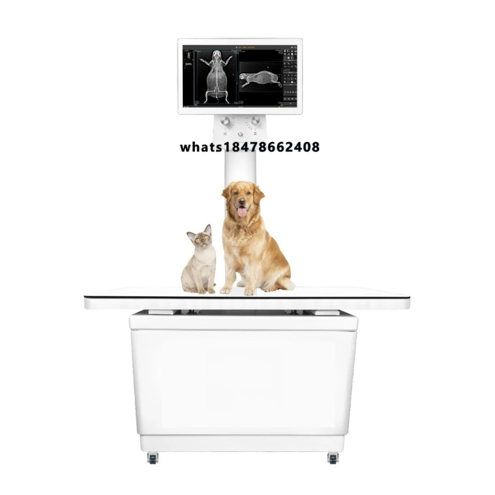 European Veterinary Wholesale Digital Radiography Veterinary X-ray Machine Pet Hospital Basic Diagnostic Equipment